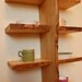 Quadruple Live Edge Shelf No. 7