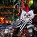 Halloween Enchanted Greetings - 5 Postcard Set