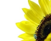Happy - 8x10 Fine Art Print