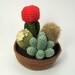 Cactus Collections, eight realistic PDF CROCHET PATTERNS