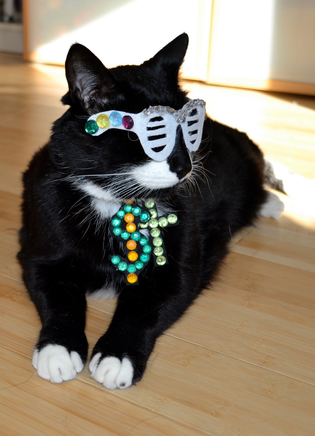 Kanye West/ Kitty West Cat Costume/White Shutter Shades
