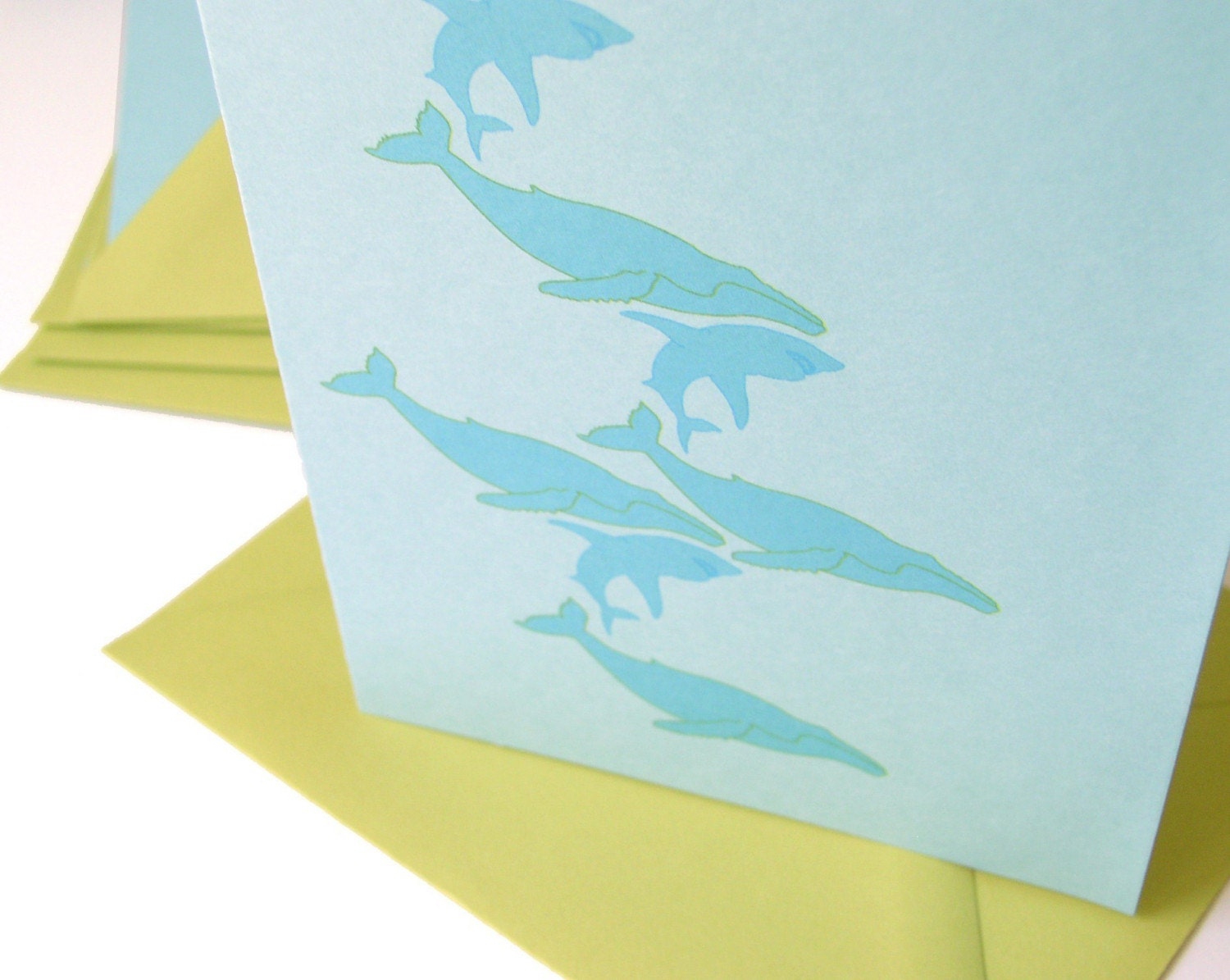 sealife noteset