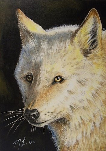 White Wolf Art by Melody Lea Lamb ACEO Print