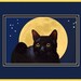 Black Cat and Full Moon Art Print Melody Lea Lamb