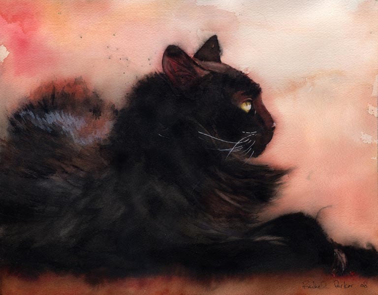 Black Cat art Print of my Original Watercolor .Sadie Sunbathing. - rachelsstudio