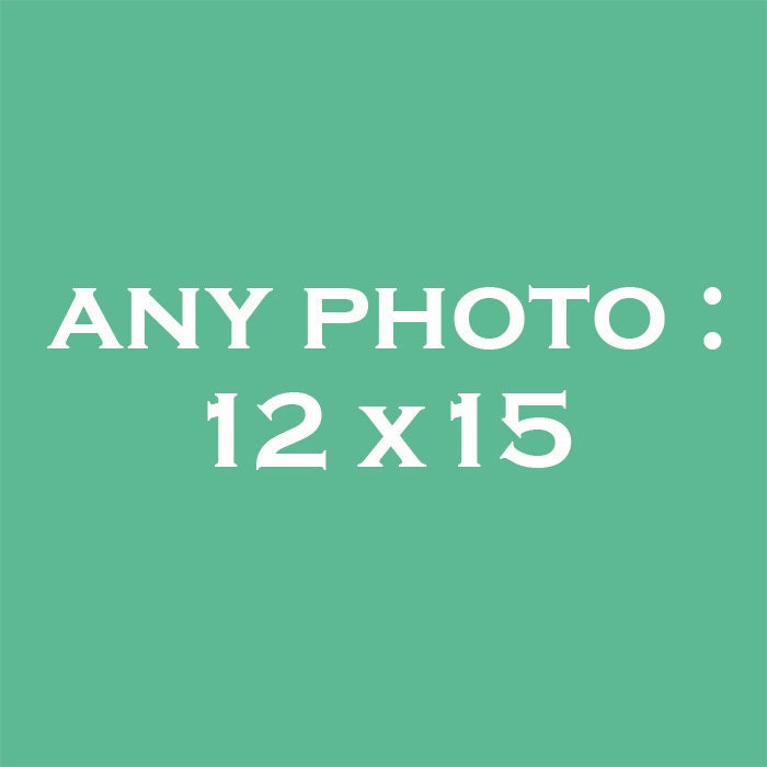 Any Photograph: Size 12" x 15".
