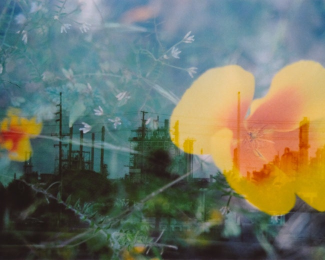 industrial organic.  8 x 10.  multiple exposure photograph.