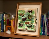 SALE - Mixed Media Collage, Butterflies Altered Book