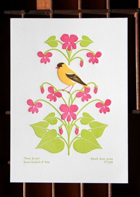new jersey (from birds and blooms of the 50 states)