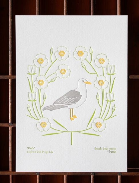 utah (from birds and blooms of the 50 states)
