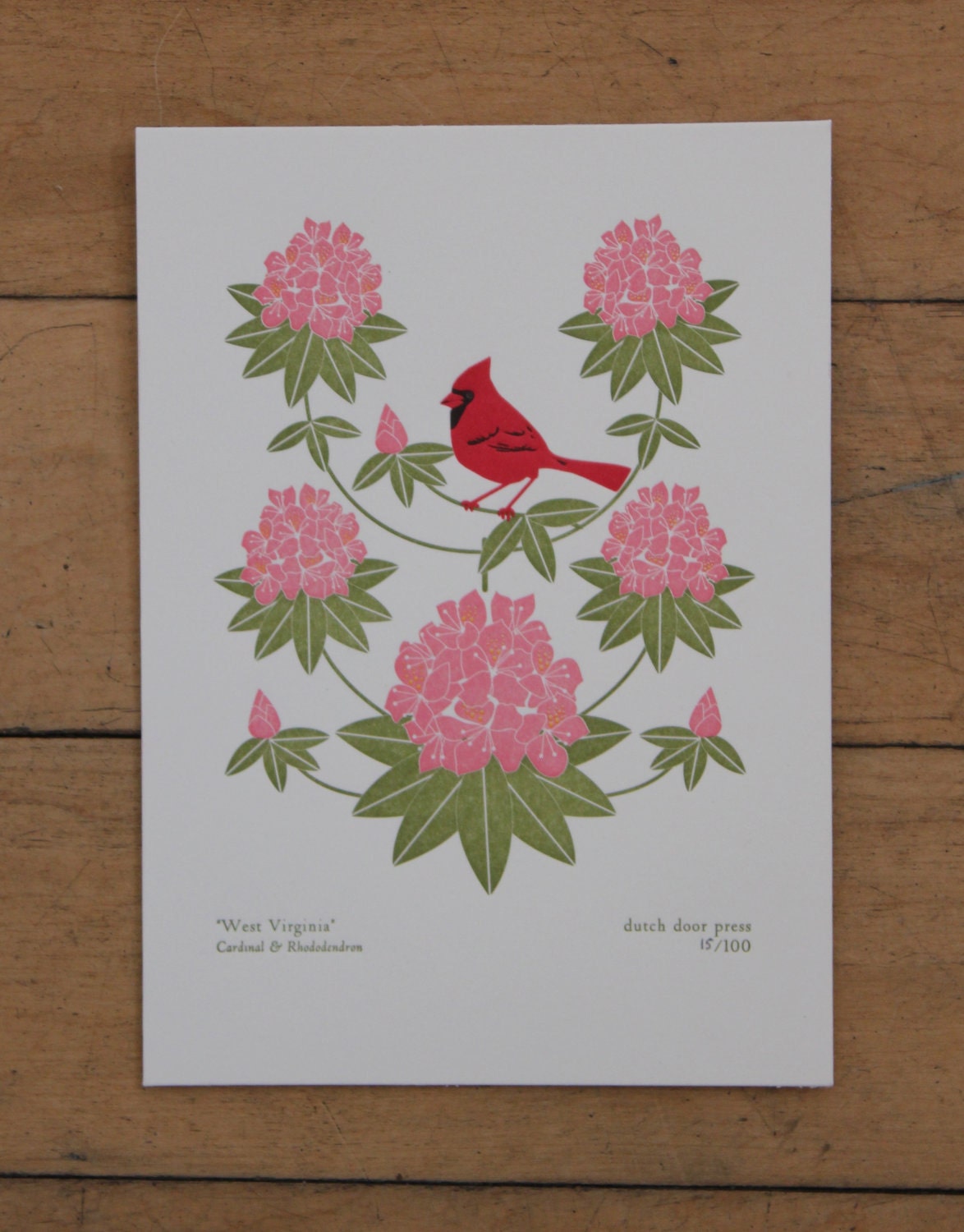 west virginia (from birds and blooms of the 50 states)
