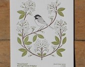 massachusetts (from birds and blooms of the 50 states)