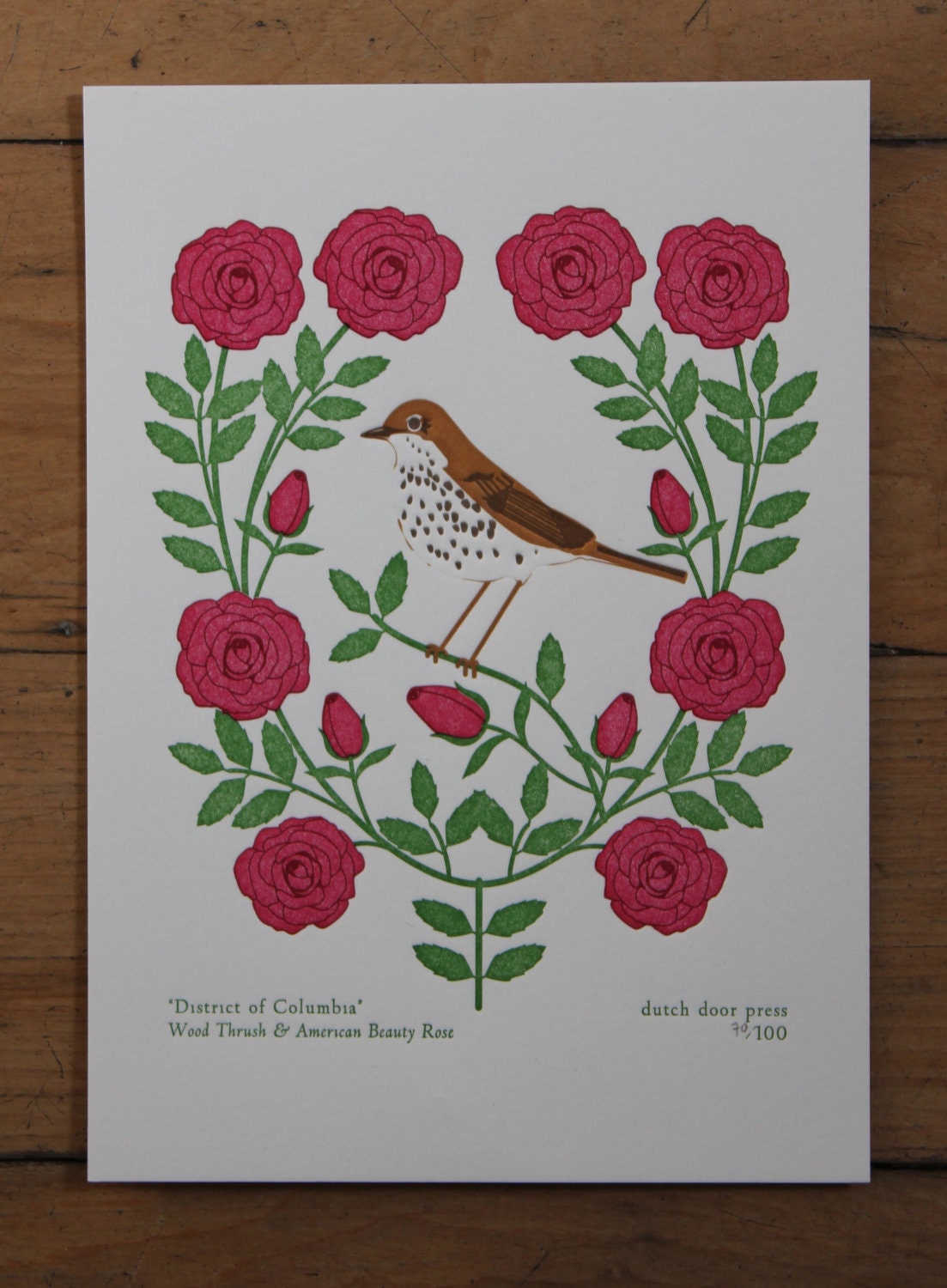 district of columbia (from birds and blooms of the 50 states)