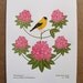SET OF 3 state prints for 40 dollars