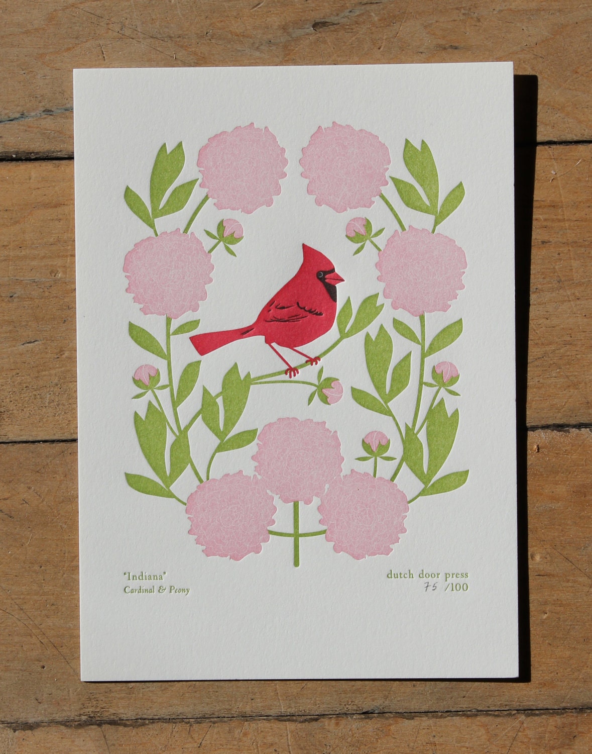 indiana (from birds and blooms of the 50 states)