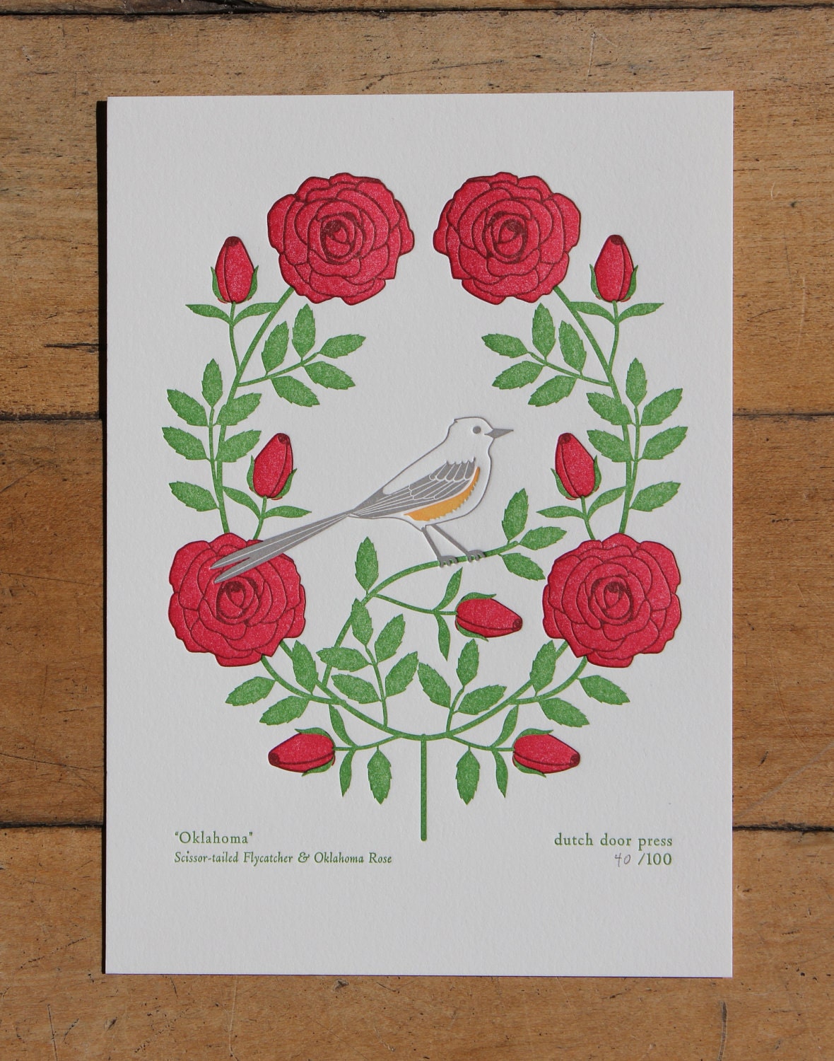 oklahoma (from birds and blooms of the 50 states)