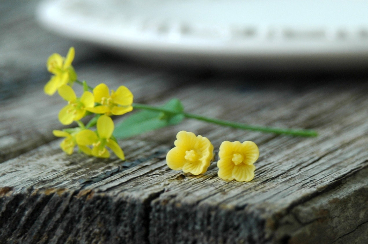 Lemon Yellow Earrings . buttercup flower post earrings