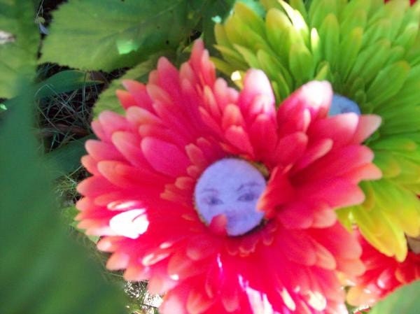 Giant Flower Fairy Wands-Gerbera Daisy-Alice's Talking Flowers-Costume-Faeryspell Creations