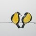 Sketch of En Rose Birds - 14x11 - original drawing
