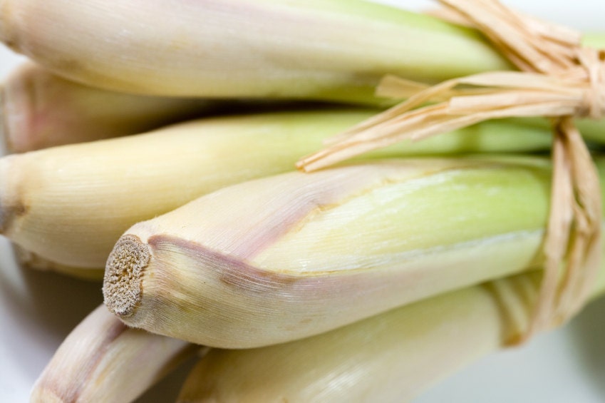 Lemongrass Starter Kit - 100% Natural (Travel sizes of: Body Soap, Body Polish, Body Balm and a bonus Pineapple Lip Balm)