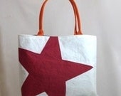 Recycled Sail Purse  - Red Star