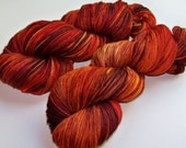 Hand Painted Superwash Merino Worsted -- Autumn Blaze