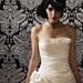 Black veiled mini top hat with black/white ribbon and stunning ostrich feathers