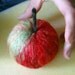 PDF Tutorial for a needle felted Apple - guide how to make - step by step instruction
