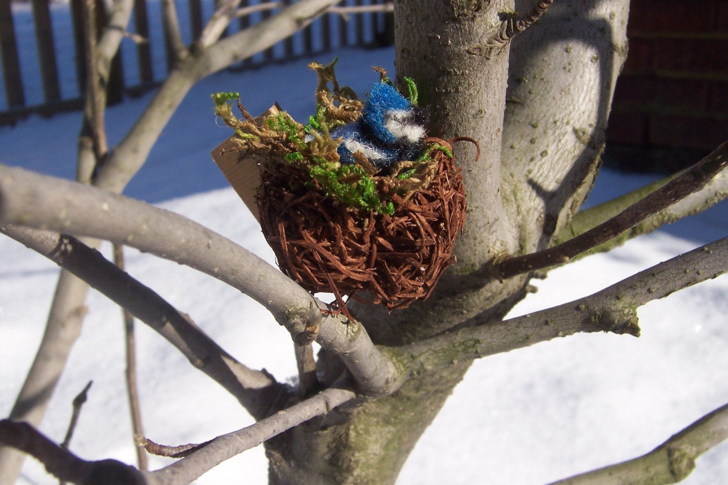Miniature Felted Bluejay