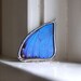 Real Butterfly Wing Necklace Blue Morpho Pendant