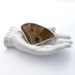 Real Butterfly Wing Necklace Blue Morpho Pendant