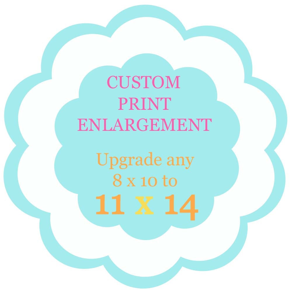 11 x 14  Custom Print Enlargement