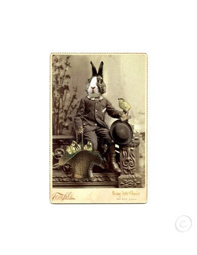 Easter. Art Print Beau Bunny Rabbit by The Decorated House. 5 x 7 inch. Victorian Style Art Cabinet Card. Chasing Chicks.
