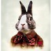 BEAU BUNNY RABBIT Art Print.  Anthropomorphic Animal Portrait. He Wore His Heart on His Sleeve. The Decorated House . 5 x 7 inch