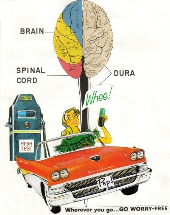 Anatomical Art Collage brain anatomy