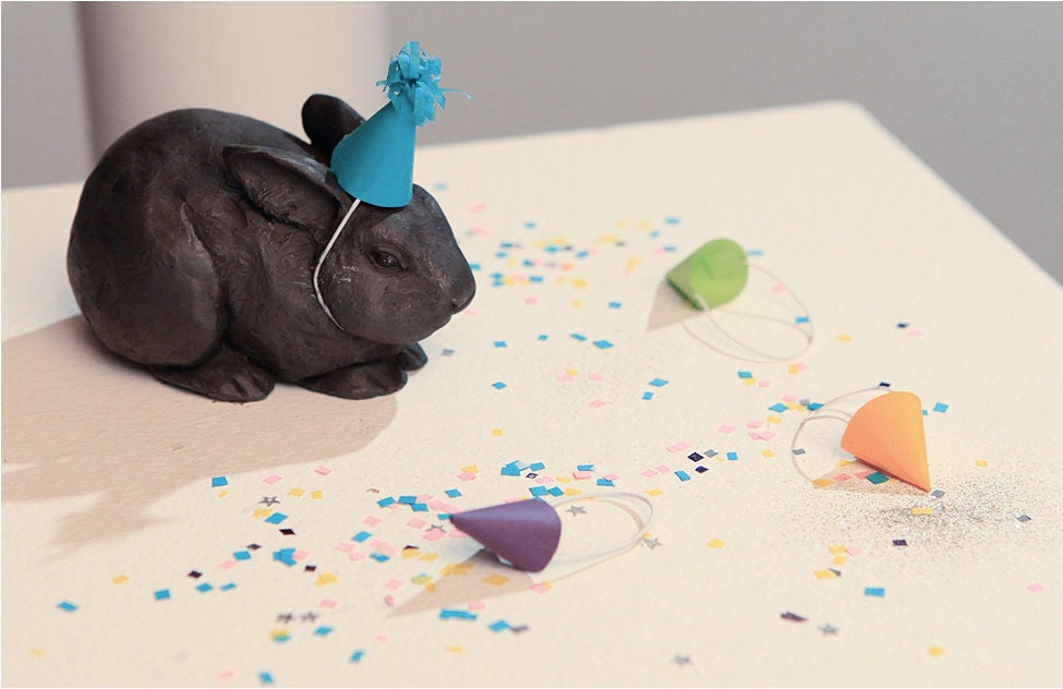 Party's over...(Pygmy Rabbit)