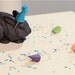 Party's over...(Pygmy Rabbit)