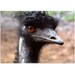 Mother Natures Artwork, set of 4 postcards of original photographs by melanie j cook