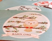 SALE Set of 10 Owl Postcards - 4 x 6 - Snowy Owl, Barn Owl, Screech Owl, Spotted Owl, Great Horned Owl