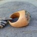 Wood Ring Glass Cab Boro Borosilicate Lampwork Wooden Jewelry Horizon Size 10