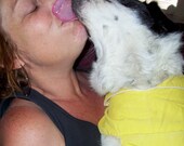 VTG Dog Costume Sailor Yellow Corduroy Medium Canine Costume On Sale