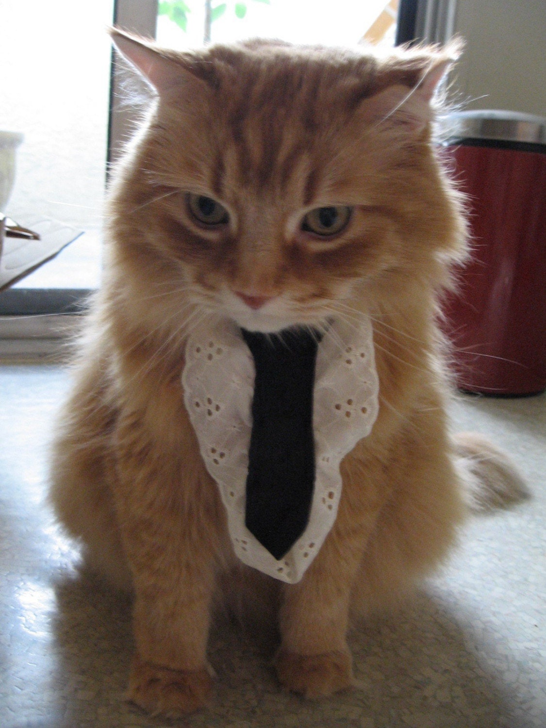 Cat Ties