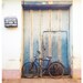 Cuba Travel Photography Print Wall Art, bicycle, bike, birdcage, door - 10x8 11x14 16x20 20x30 inch fine art photo print