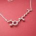 capsaicin - chili pepper molecule - necklace