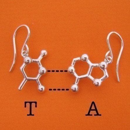 base pair earrings - choose your favorite DNA and RNA nucleotide bases