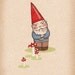 Gnome print set