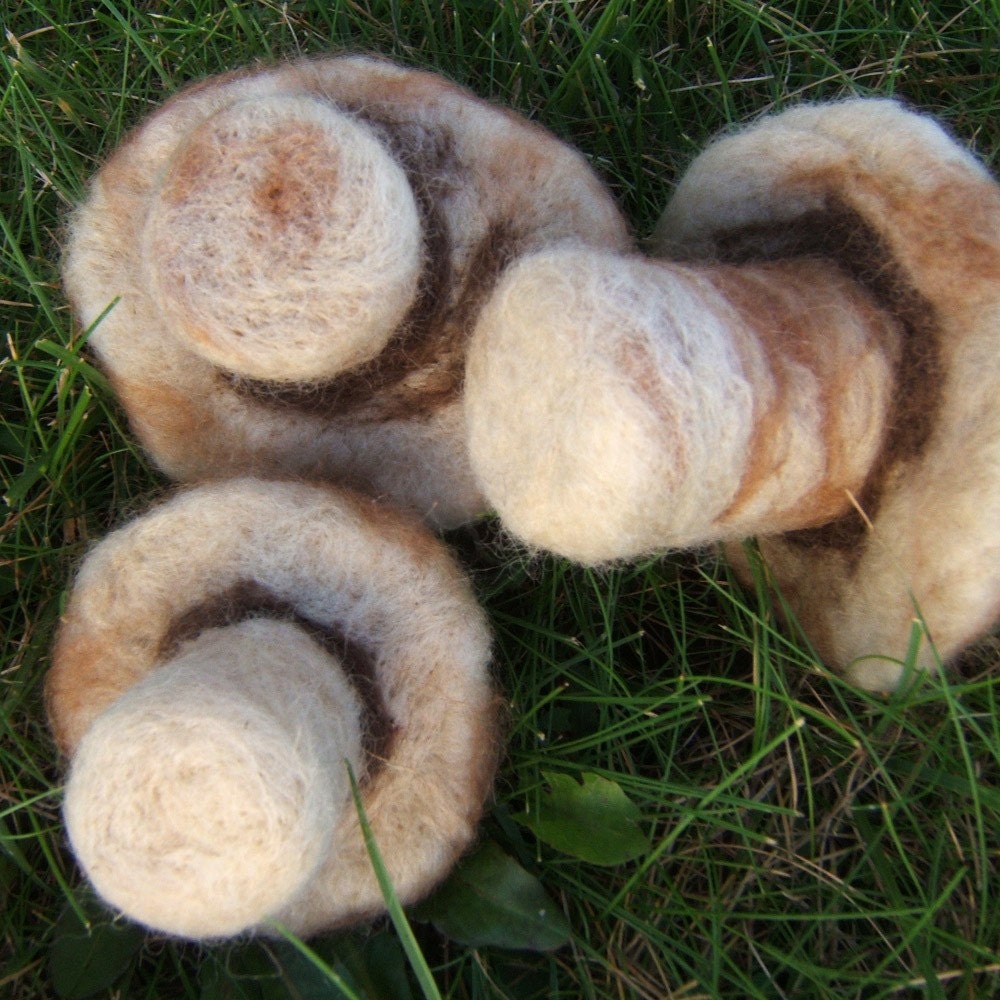Trio of Mushrooms (Needle Felted Set)
