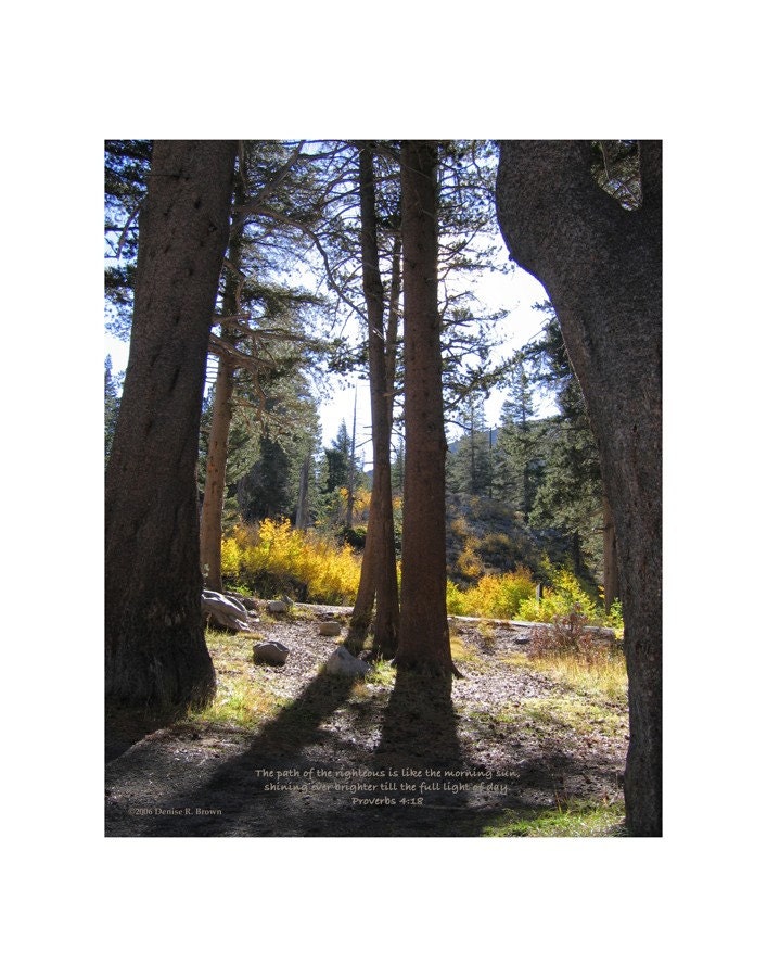 Twin Lakes Morning (Proverbs 4:18), Original Photography Print 8x10