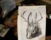 Jackalope Dictionary Art Print Mixed Media 8" x 11" Original Artwork Recycled book page print Gift for men