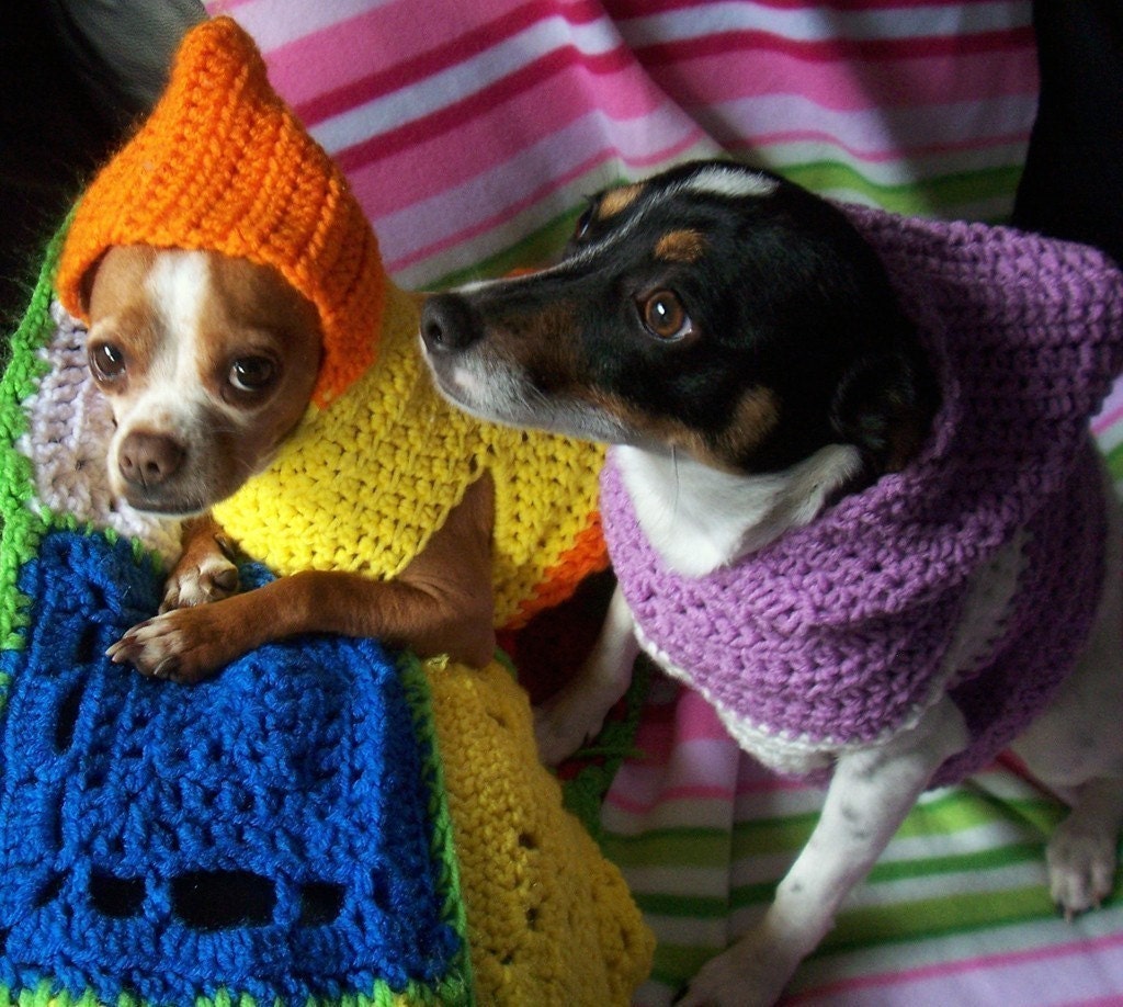 Crocheted Hooded Dog Sweater Pattern PDF Small and Medium Sizes